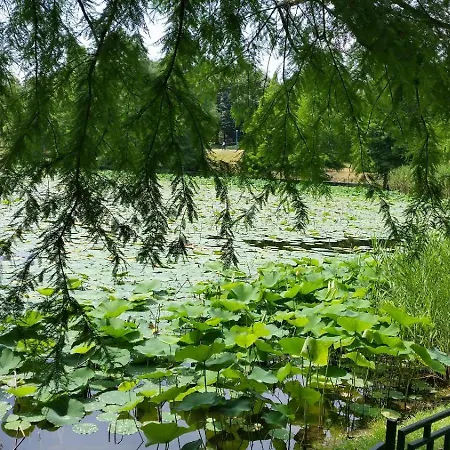 No 902 Circului Park Tower Apartment Bukarest