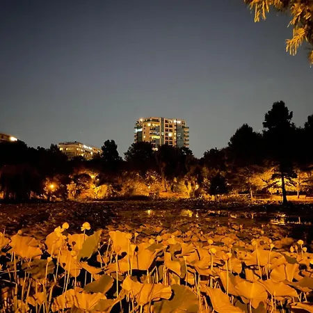 No 902 Circului Park Tower 公寓