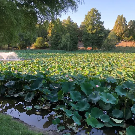 No 902 Circului Park Tower *