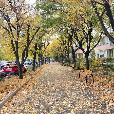 No 902 Circului Park Tower 布加勒斯特