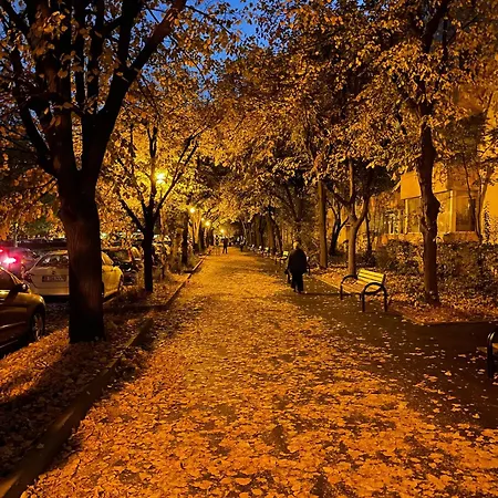 Apartment No 902 Circului Park Tower Bucharest