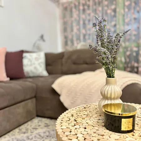 No 902 Circului Park Tower 부쿠레슈티