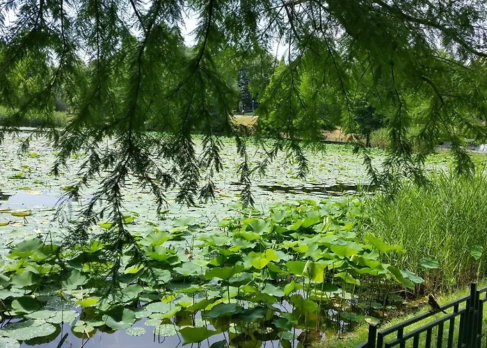 No 902 Circului Park Tower Апартаменти Бухарест