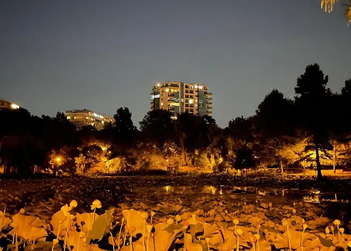 No 902 Circului Park Tower アパート