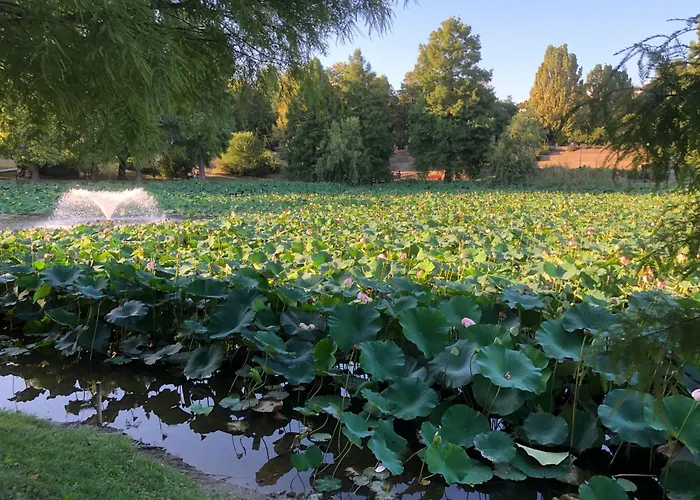 No 902 Circului Park Tower *