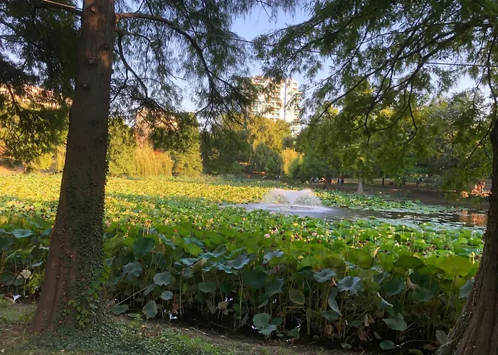 No 902 Circului Park Tower Бухарест