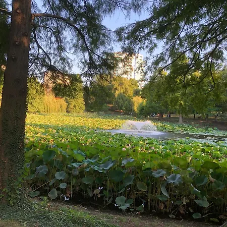 No 902 Circului Park Tower Bucarest